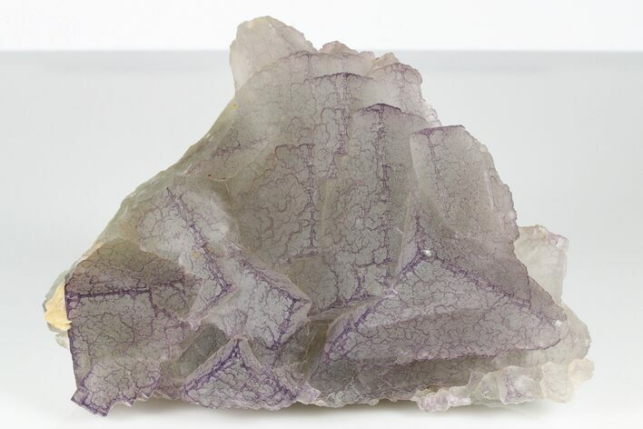 Purple Edge Fluorite Crystal Cluster - Qinglong Mine, China #186905